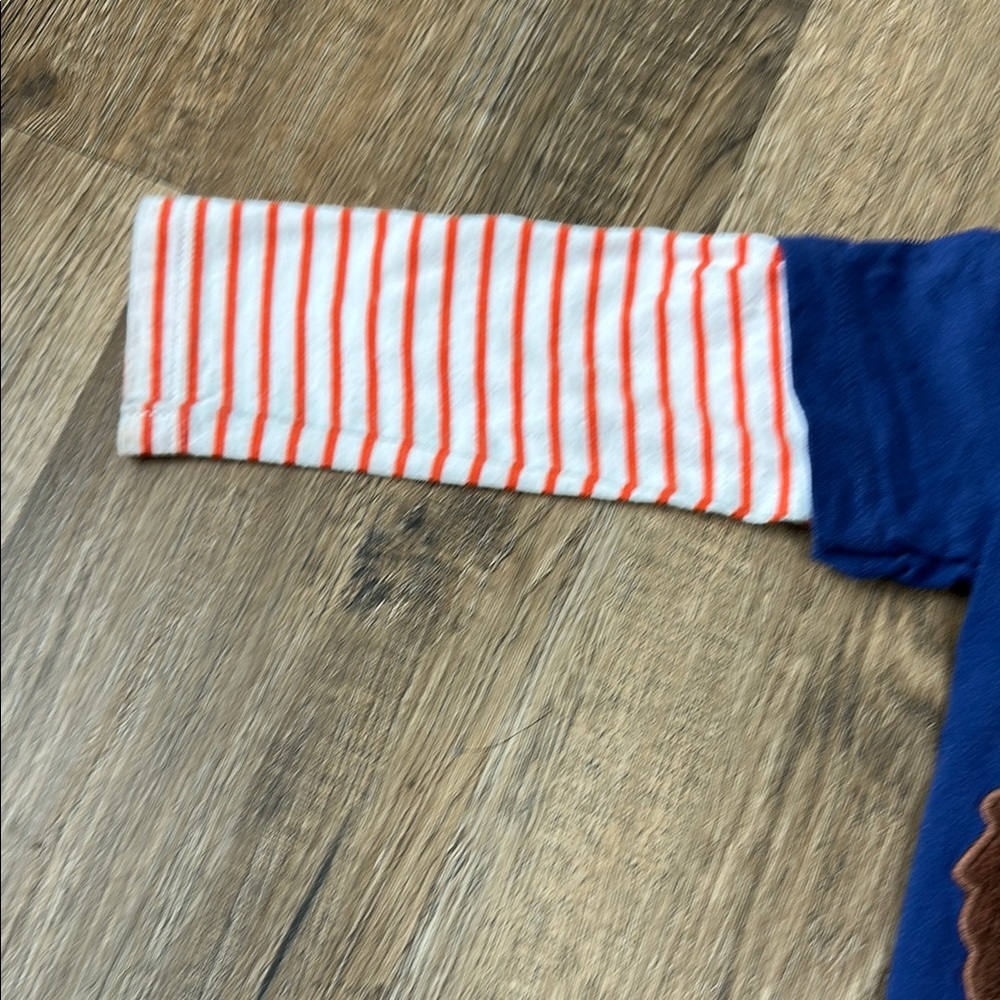Baby Boden,Blue Kids Shirt with Hedgehog Design - Picture 6 of 9